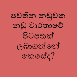 Legal Advice 53